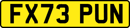 FX73PUN