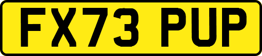 FX73PUP