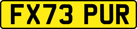 FX73PUR