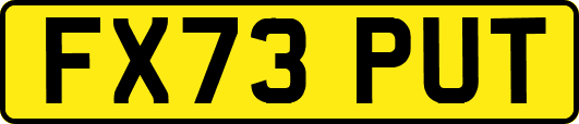 FX73PUT