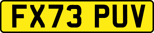 FX73PUV
