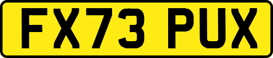 FX73PUX