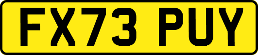 FX73PUY