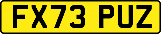 FX73PUZ