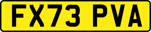 FX73PVA