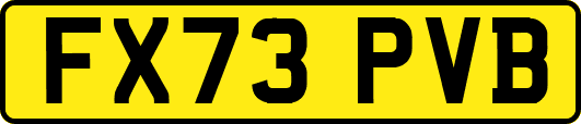 FX73PVB