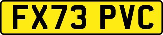 FX73PVC