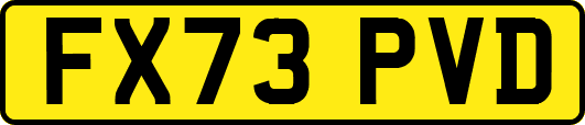FX73PVD
