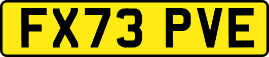 FX73PVE