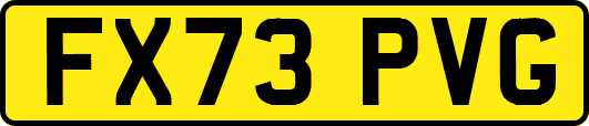 FX73PVG