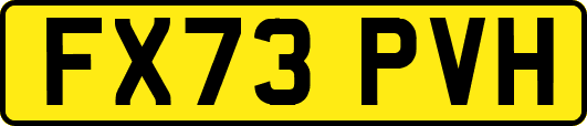 FX73PVH