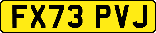 FX73PVJ