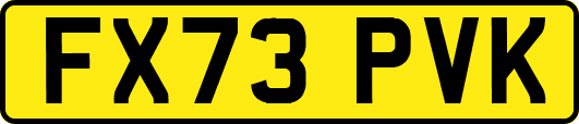 FX73PVK