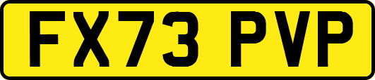 FX73PVP