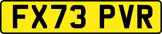 FX73PVR