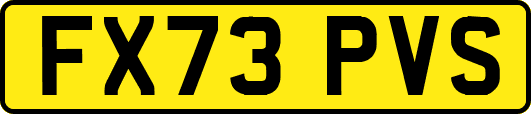 FX73PVS