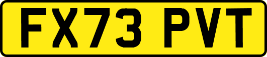 FX73PVT