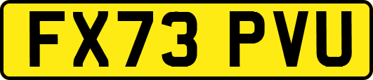 FX73PVU