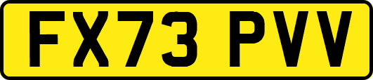 FX73PVV
