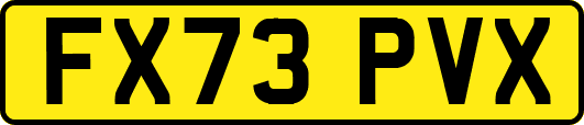 FX73PVX