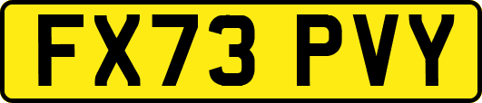FX73PVY