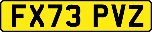 FX73PVZ