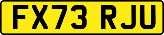 FX73RJU