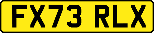 FX73RLX