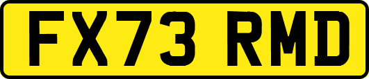 FX73RMD