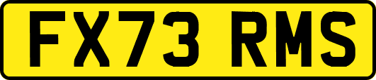 FX73RMS