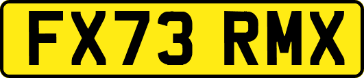 FX73RMX