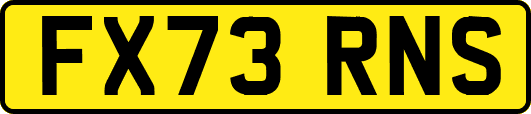FX73RNS