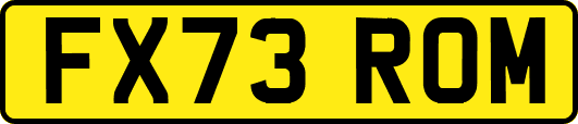 FX73ROM