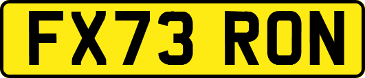 FX73RON