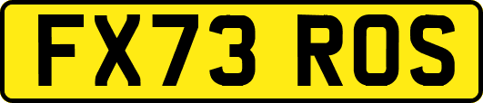 FX73ROS