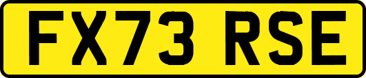 FX73RSE
