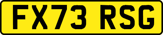 FX73RSG