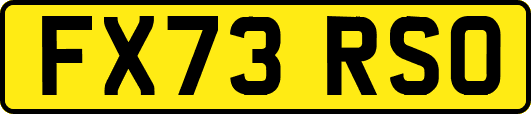FX73RSO