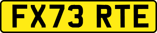 FX73RTE