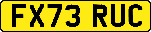 FX73RUC