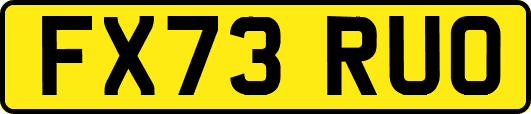 FX73RUO