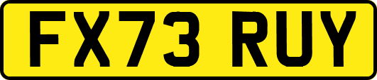 FX73RUY