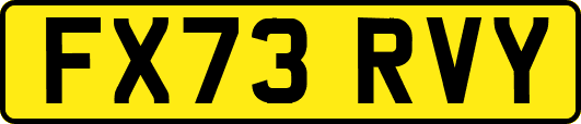 FX73RVY