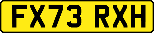 FX73RXH