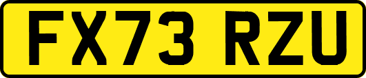 FX73RZU