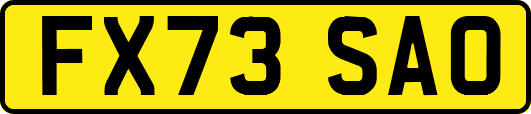 FX73SAO