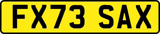 FX73SAX