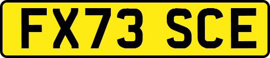FX73SCE
