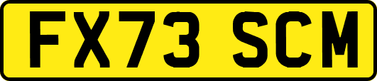 FX73SCM