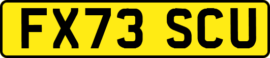 FX73SCU